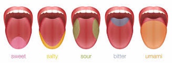 Tongue