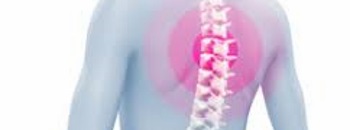 Spinal