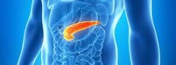 Pancreas