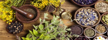 Medicinal herbs