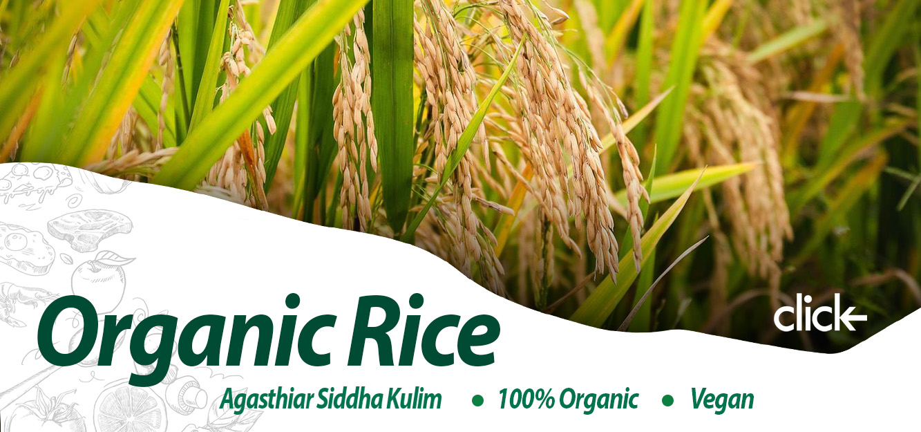 Organic Rice